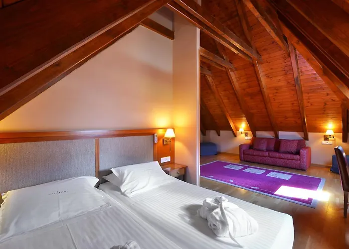 Hotel Acevi Val D'aran