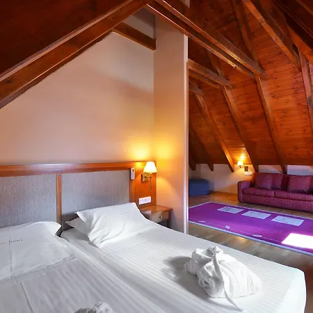 Hotel Acevi Val D'aran 4*