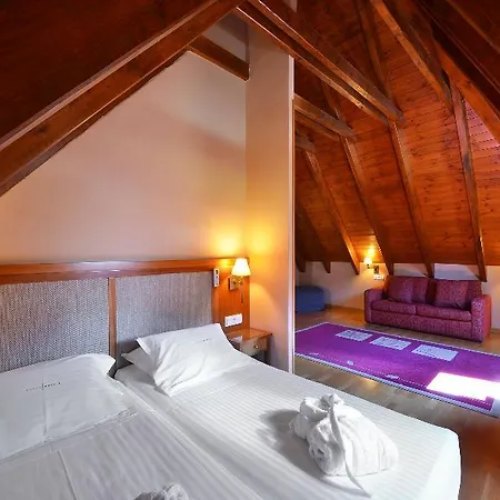 Hotel Acevi Val D'aran
